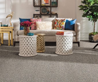 Gray Carpet | The Floor Store VA