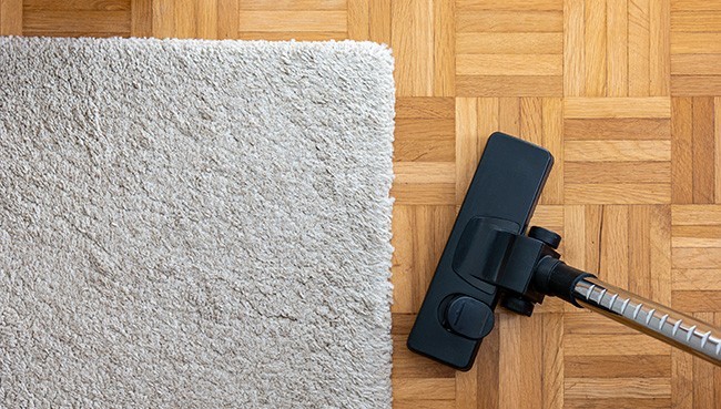 Vacuum Area Rug | The Floor Store VA