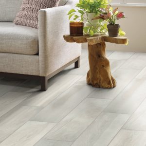 Trendy Tile | The Floor Store VA