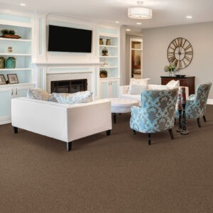 Plain Carpet | The Floor Store VA