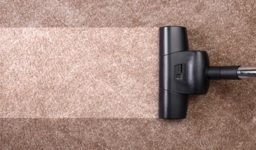 Carpet-Basic-Care-IMG