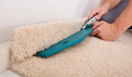 carpet-care (5)
